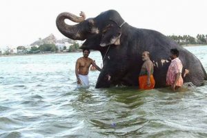 The Name Thiruchirapalli