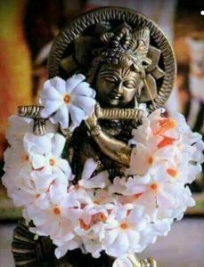 பிரம்ம முஹுர்த்தத்தில் மணக்கும் பாரிஜாதம்..!