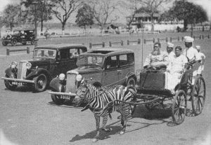 Etymology – ‘Zebra Crossing’
