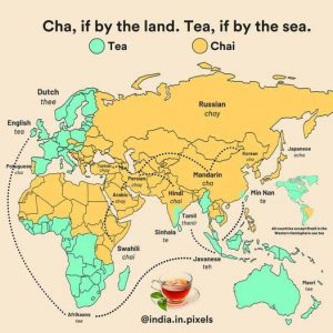 Chai or Tea